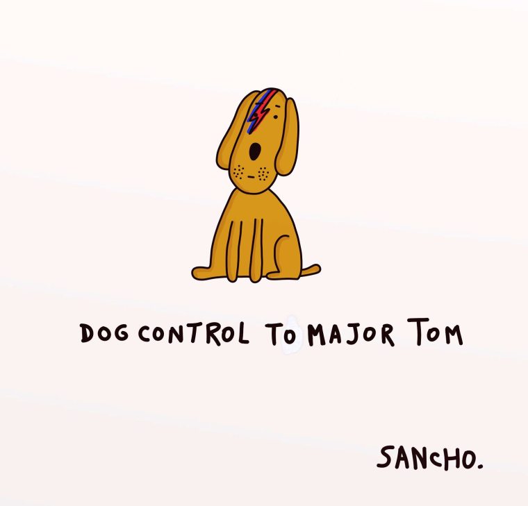 dog control