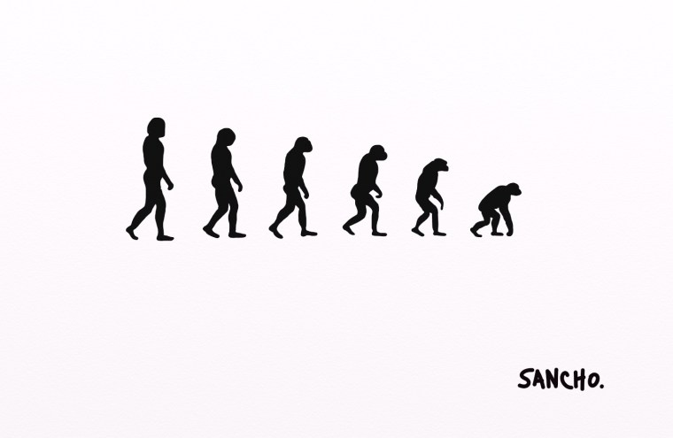 Evolution