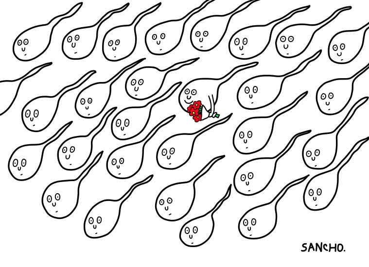 Flowers digital 2019